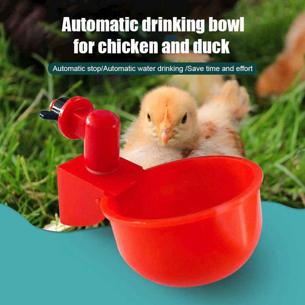 (💦EARLY SUMMER HOT SALE- 49% OFF💦)  🎉Automatic Poultry Water Bowl (5Pcs/set) 💥 BUY 2 GET 1 FREE