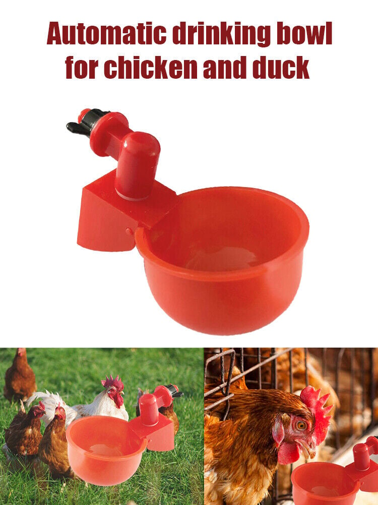 (💦EARLY SUMMER HOT SALE- 49% OFF💦)  🎉Automatic Poultry Water Bowl (5Pcs/set) 💥 BUY 2 GET 1 FREE