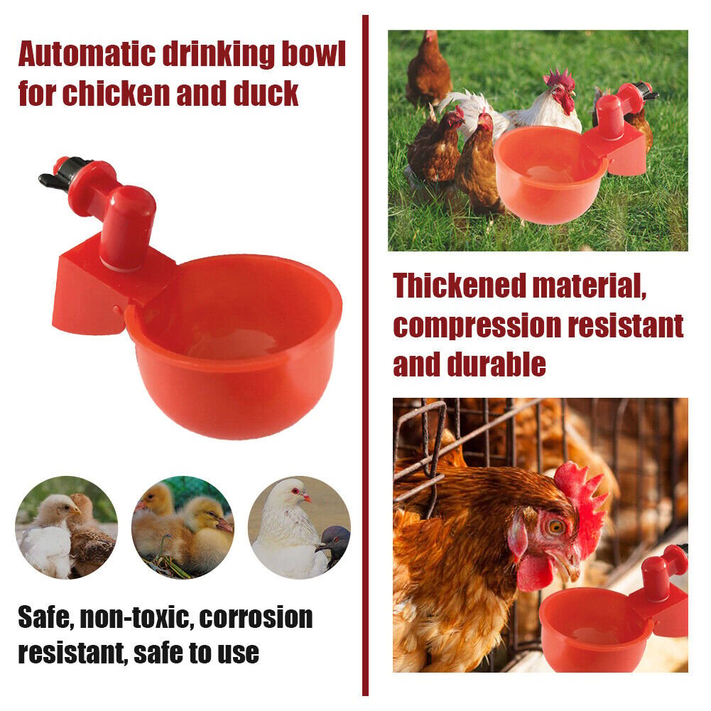 (💦EARLY SUMMER HOT SALE- 49% OFF💦)  🎉Automatic Poultry Water Bowl (5Pcs/set) 💥 BUY 2 GET 1 FREE